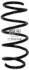 OPEL 0312141 Coil Spring